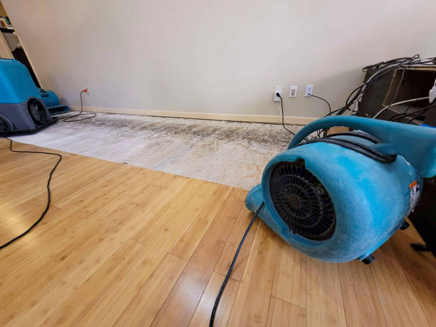 Professional Water Damage Repair technician working in Gatesville, TX
